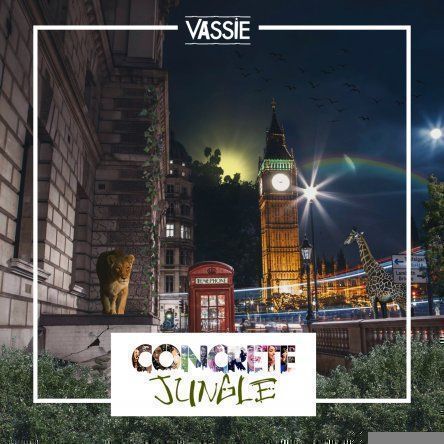 Concrete Jungle Album - Signed copy