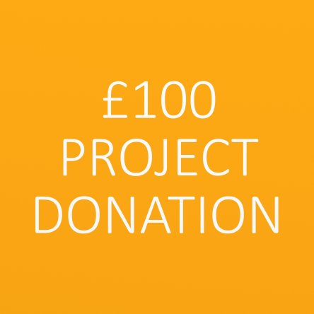 £100 Project Donation