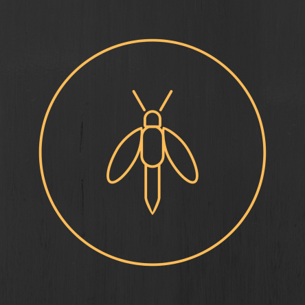 Firefly Bundle - featuring handwritten song lyrics