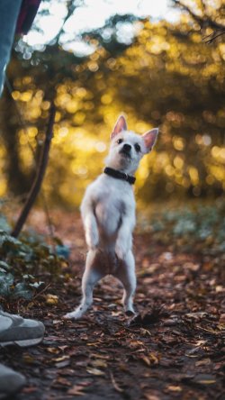 Personalised portscards