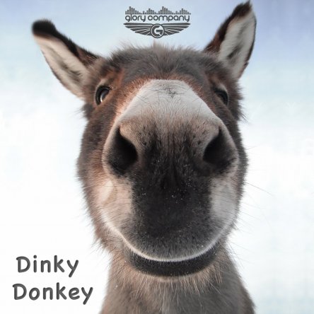 Pre-Order Dinky Donkey CD