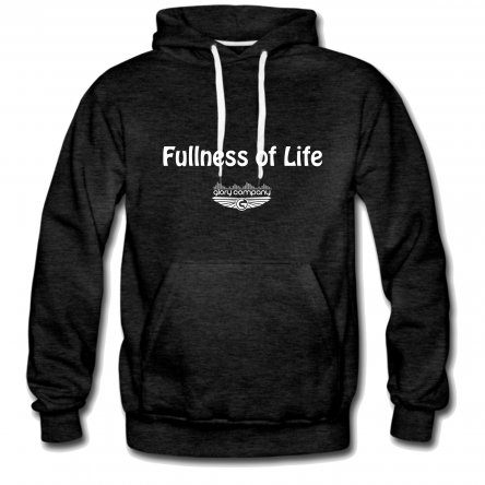 Fullness of Life Men's Hoodie