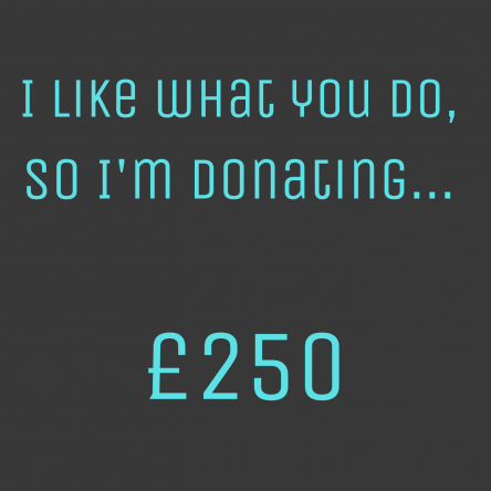 250 donation