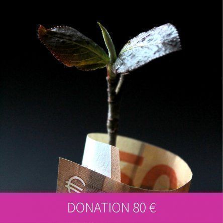Donation 80 €