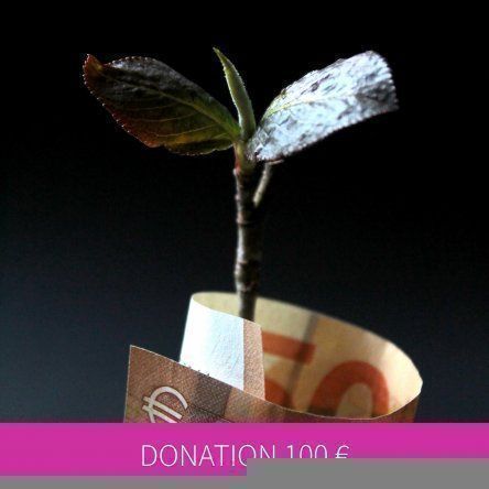 Donation 100 €