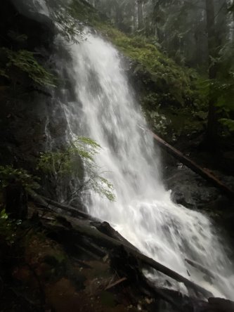 Come Hiking with me for a day in the Northern Rainforest