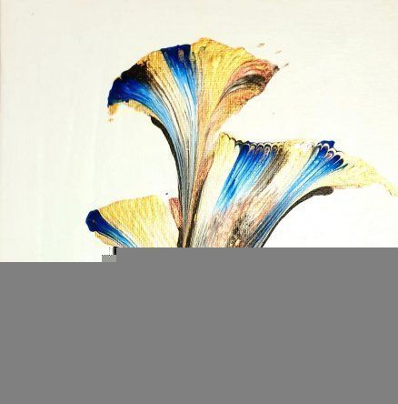 Lily Horn.
