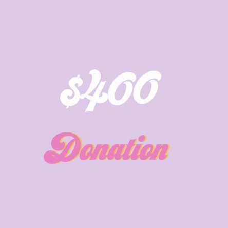 $400 Donation