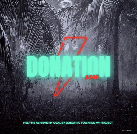 Donation - £500