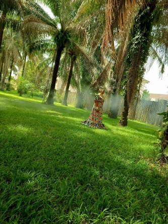 Sponsor an entire music project