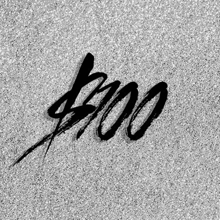 $100 supporter donation