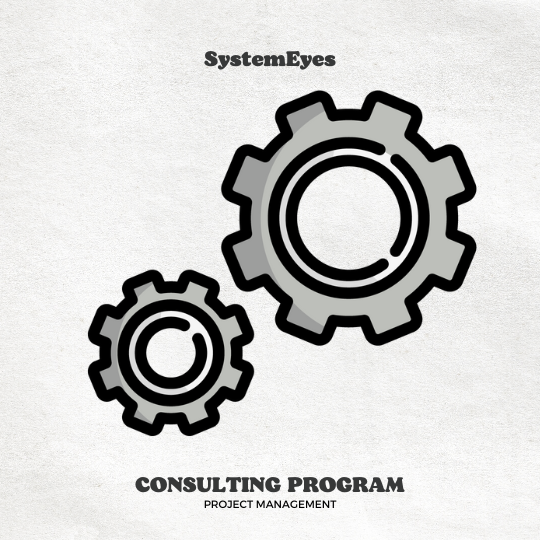 SystemEyes: Project Management Consulting Program