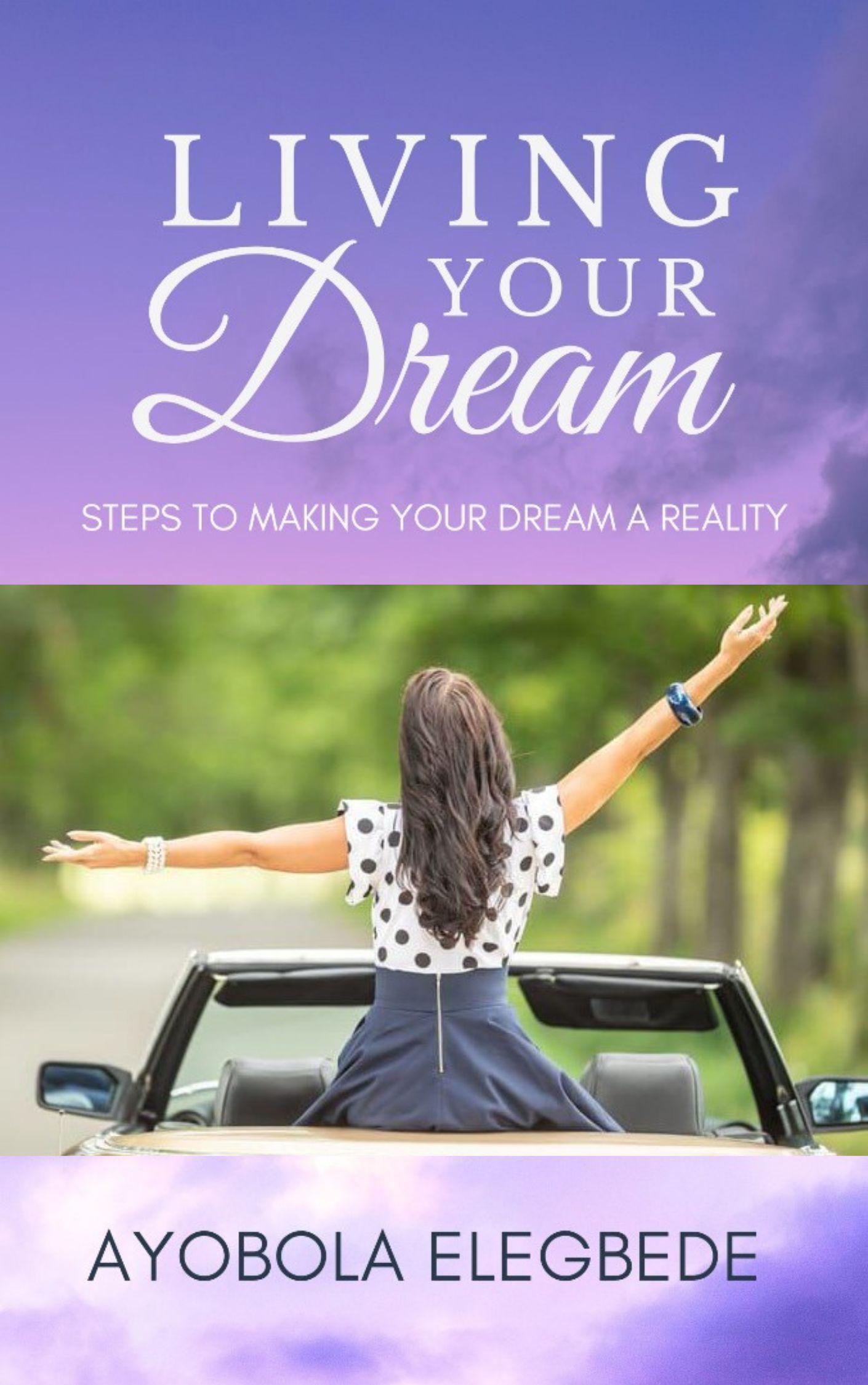Living Your Dream (Paperback)