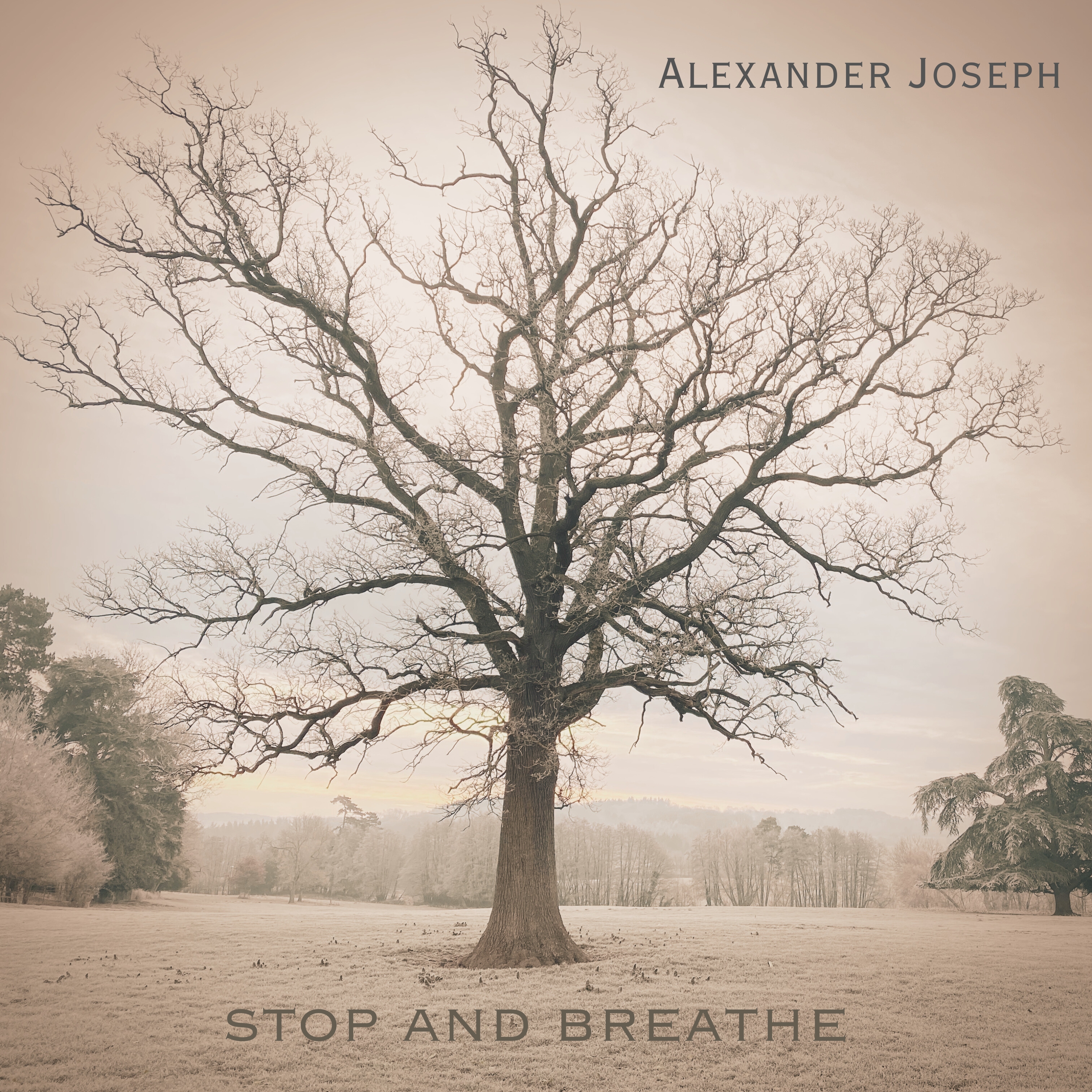 Stop and Breathe (EP) - High Definition Download