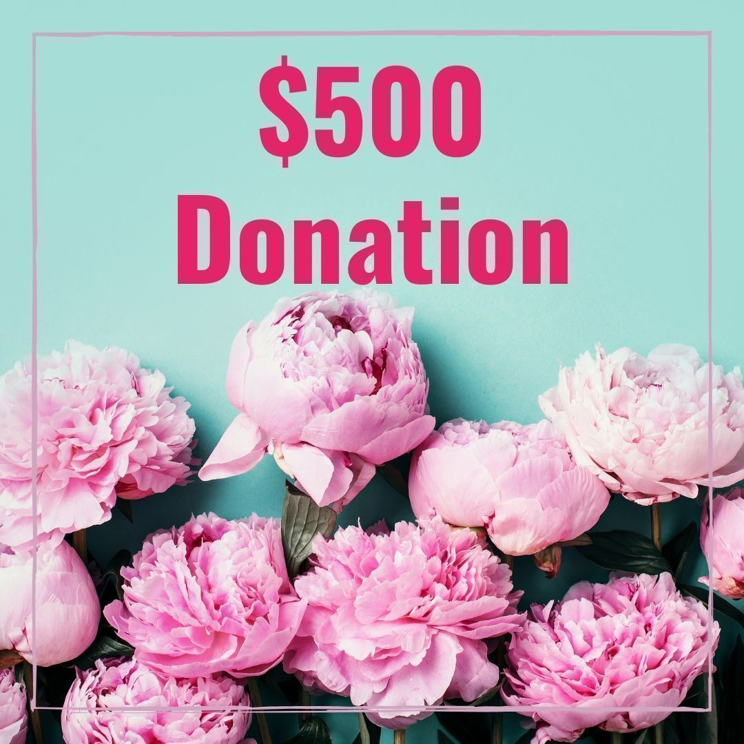 Donate $500